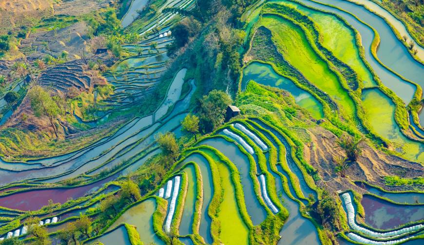 洛龙区产品视频拍摄